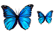 Butterfly icons